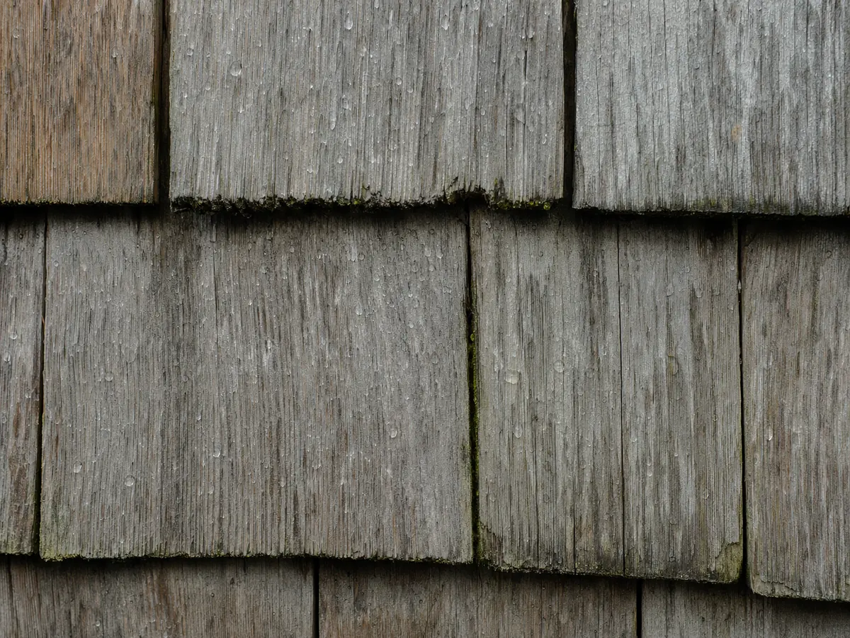 Weathered cedar shingle siding on an island house, beaded with rain